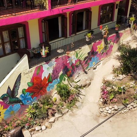 La Posada Pacifica Puerto Vallarta Bagian luar foto